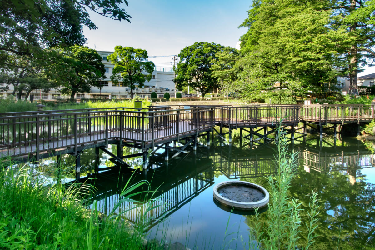 文庫の森（旧三井文庫跡地）